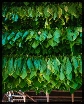 Hypnose Aix en Provence, Manosque, Denis Di Russo, Sophrologie, EFT, Acouphènes