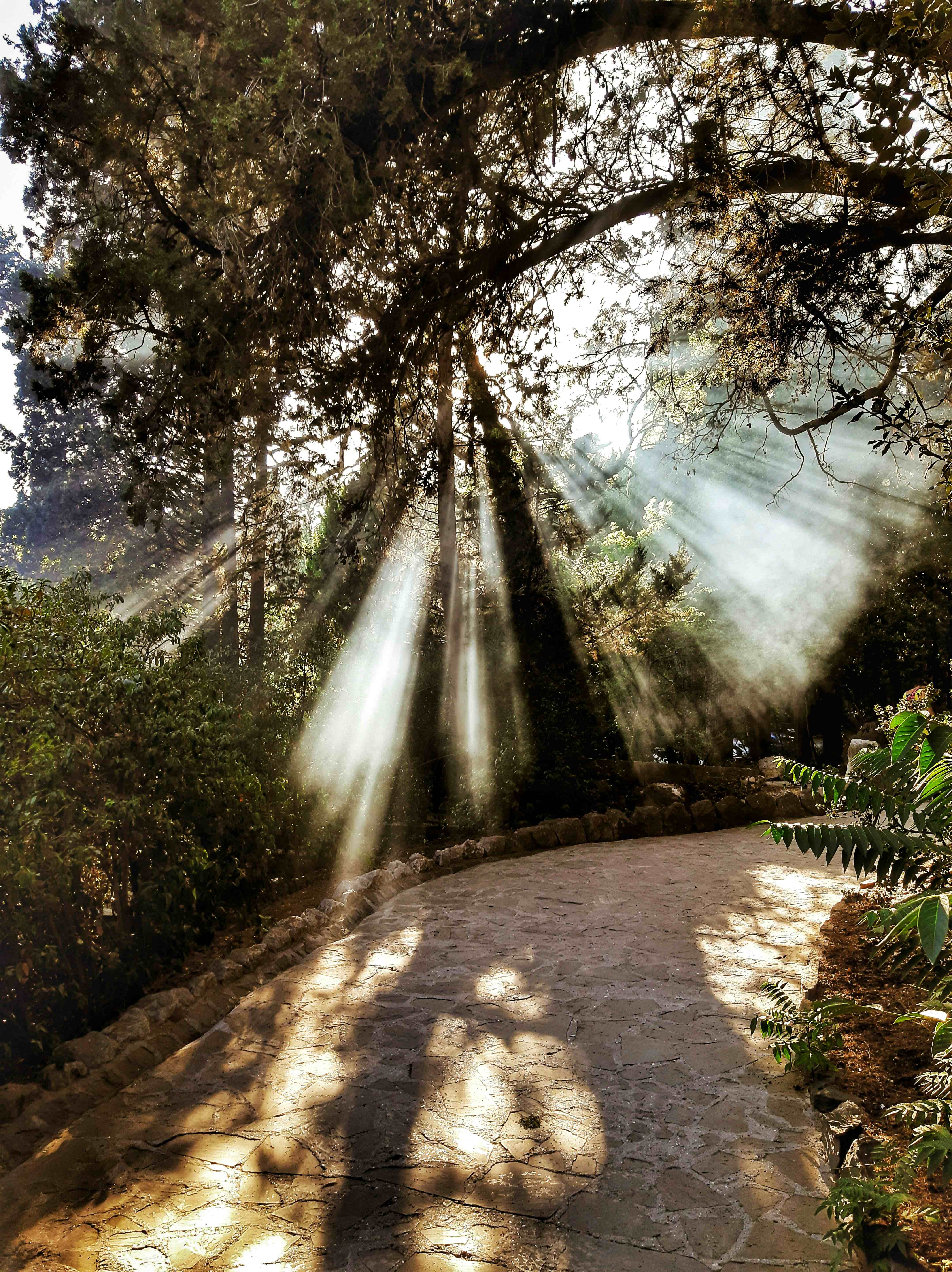 Denis Di Russo - Hypnothérapeute à Aix en Provence et Manosque